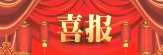 大連路陽科技開發(fā)有限公司的“PEEK改性材料及制品制備技術(shù)”，被遼寧省 ...